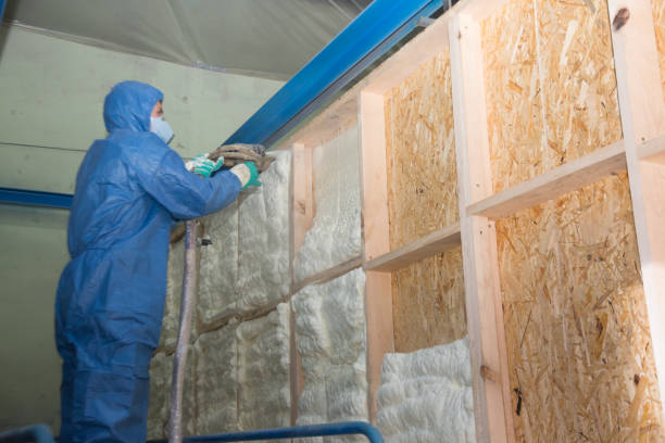 Best Insulation Inspection Services  in New Lexington, OH