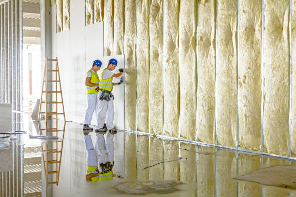 Best Insulation Contractors for Homes  in New Lexington, OH